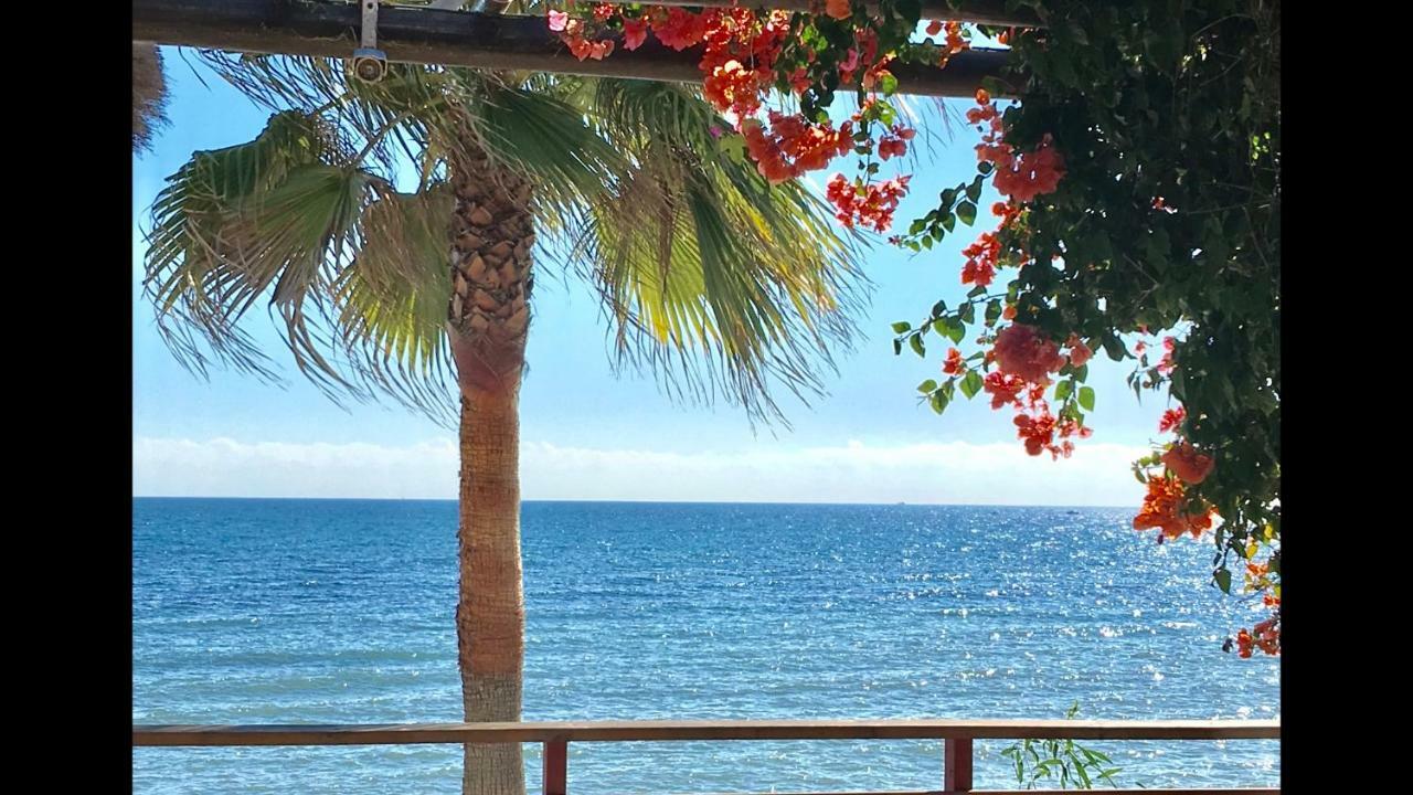 Mi Capricho 2D Beachfront- Apartment With Sea View - Costa Del Sol Sitio de Calahonda Extérieur photo
